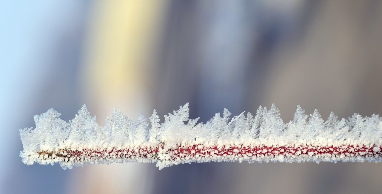 Beginnings – From Crimson to Snow